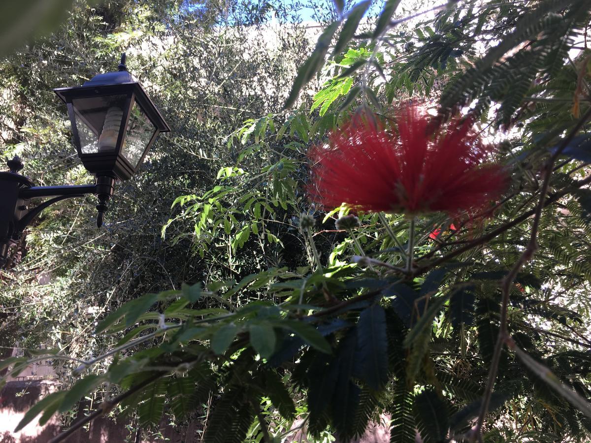 B&B Liberty 900 Catania Bagian luar foto